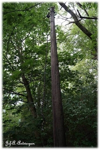 Natuur in ’t Noordkasteel.