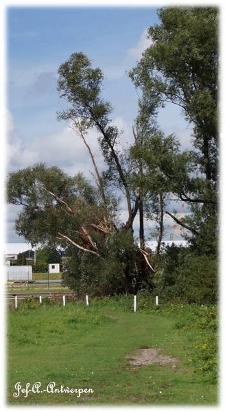 Antwerpen, Jef-A., Natuurfoto's, Noordkasteel