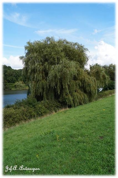 Antwerpen, Jef-A., Natuurfoto's, Noordkasteel