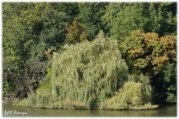 Natuur in ’t Noordkasteel.