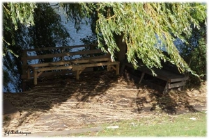 Natuur in ’t Noordkasteel.