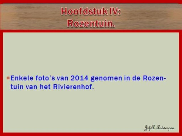 Hoofdstuk VI Rozentuin.