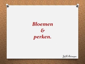 Bloemen & perken.