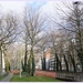 Bomen Frankrijklei, Stoopstraat - Baeckelmansstraat.