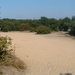 DSCF0004