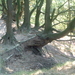 DSCF0008