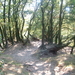 DSCF0007