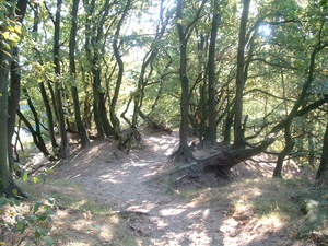DSCF0007