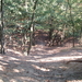 DSCF0009