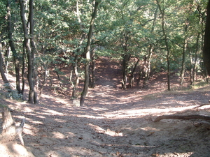 DSCF0009