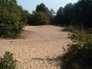 DSCF0010