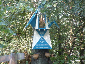 DSCF0012