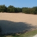 DSCF0013