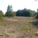 DSCF0015