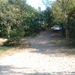DSCF0016