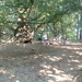 DSCF0018