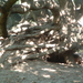 DSCF0019