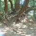 DSCF0020