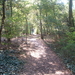 DSCF0021