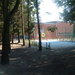 DSCF0024