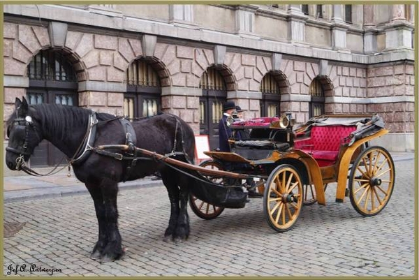 Antwerpen, Jef-A., De Grote Markt, paarden met koets.