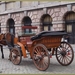 De Grote Markt, paarden met koets.