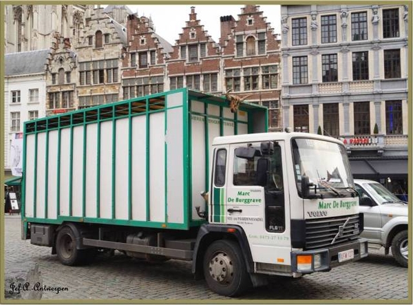 De Grote Markt, veewagens.