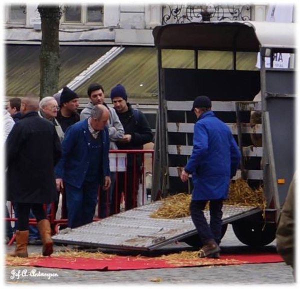 Antwerpen, Jef-A., De Grote Markt, veewagens.