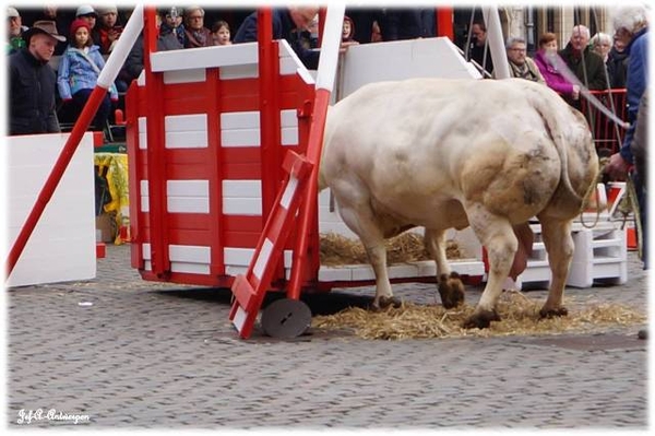 Antwerpen, Jef-A., De Grote Markt, Weegschaal Sint Jan.