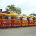 Groeps foto