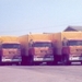 Groeps foto