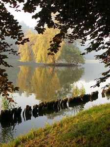 vijvers park Tervuren