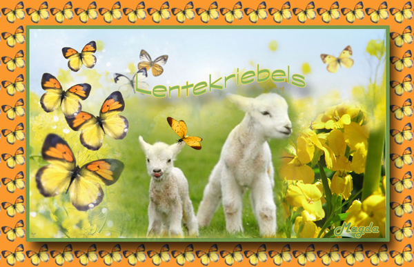 Admagsobeilo project 28.2