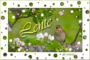 De Prutser project 28.1