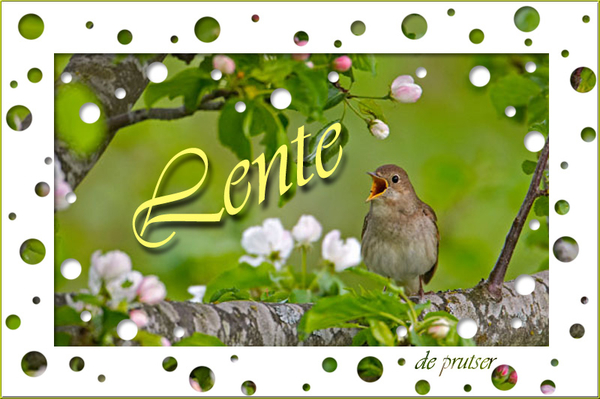 De Prutser project 28.1