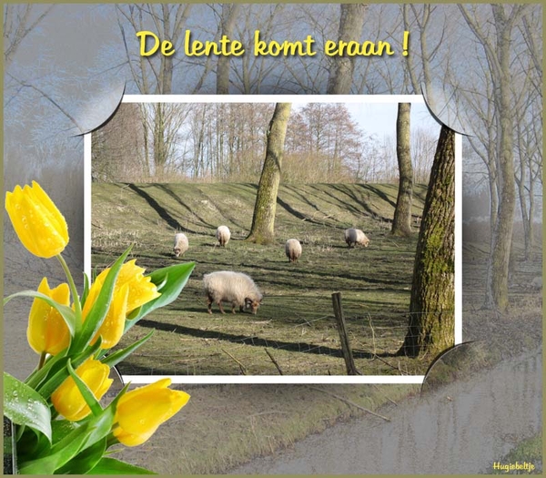 Hugiebeltje project 28.1