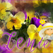 Sien 1 project 28.3