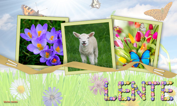 Klein meme project 28.1