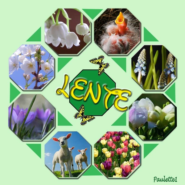 Paulette1 project 28.1