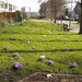 Lente in Leidschendam 13-03-2001