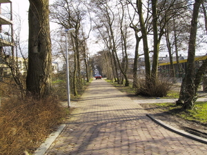 Schoorlaantje 13-03-2001