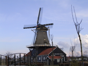 De Molen aan de Vliet 13-03-2001