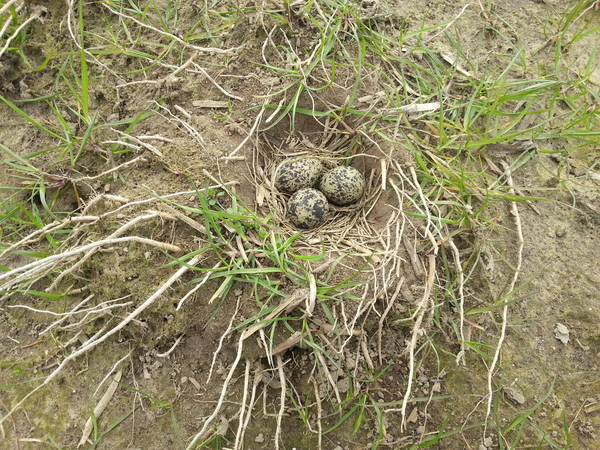 2016-03-23 14.02.48 - kopie