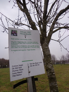 Verschillende fruitbomen met namen geboortes