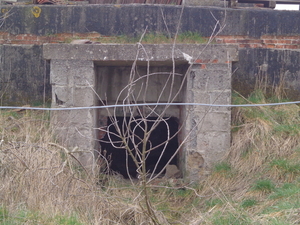 Bunker