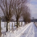 Winter in Liedekerke