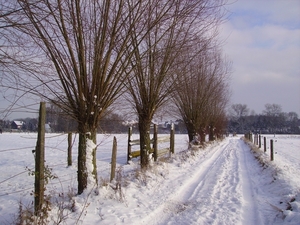 Winter in Liedekerke