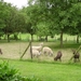Wandeling Zwalm juni 2007
