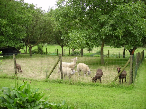 Wandeling Zwalm juni 2007