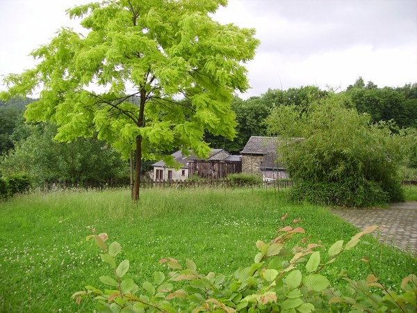 Vresse-sur-Semois juni 2008 191